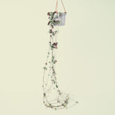 Ceropegia Woodii | String of hearts | 30cm