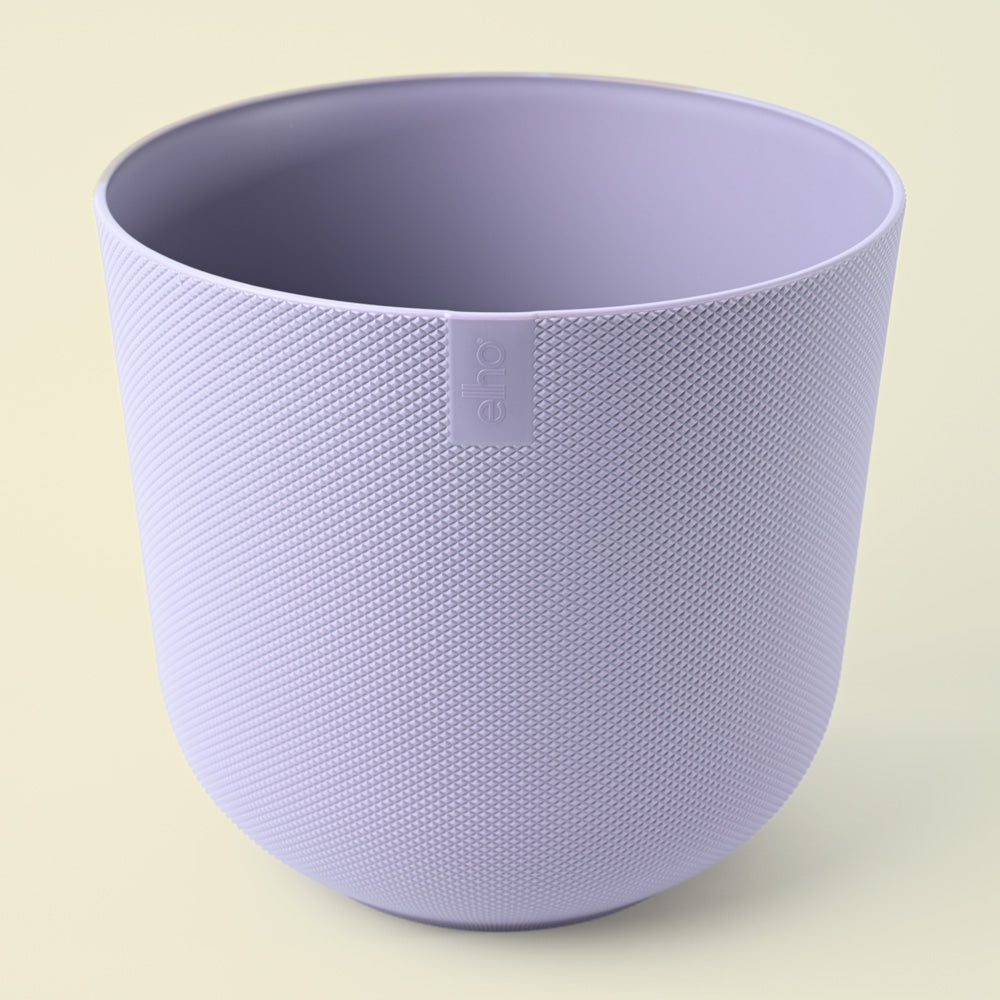 Jazz Lavender Lilac 23cm