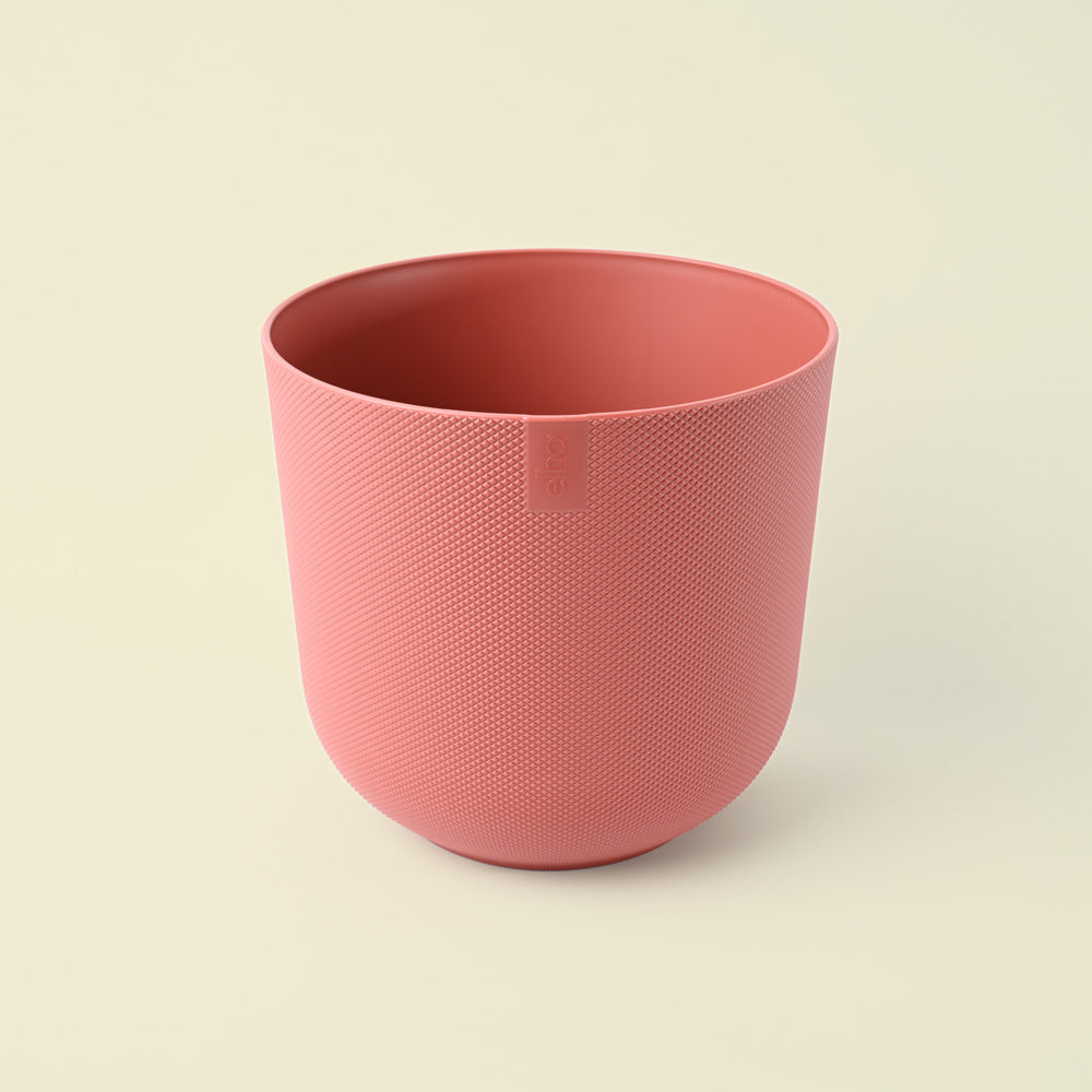 Jazz Tuscan Red 16cm