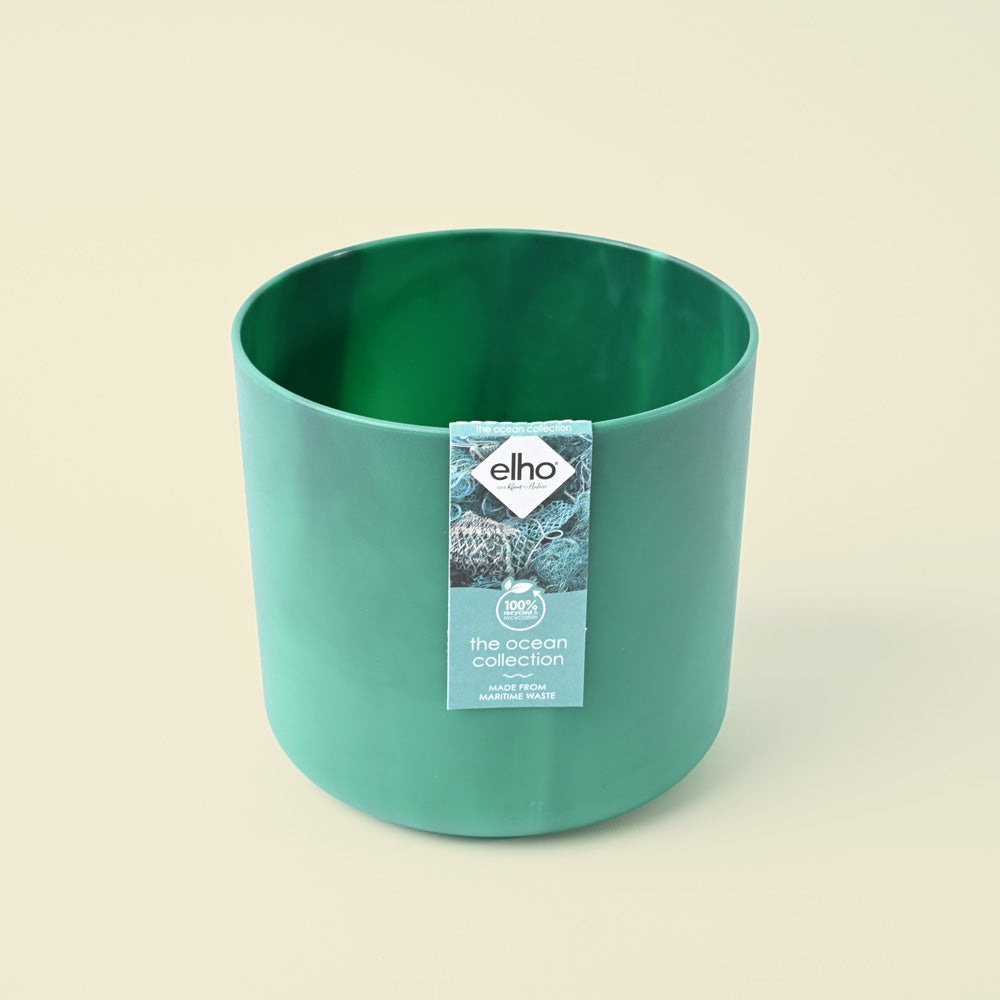 The Ocean Collection Pacific Green 16cm