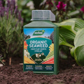 Organic Seaweed Liquid Plant Growth Stimulant 1L