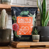 Cacti & Succulent Potting Mix Peat Free 4L