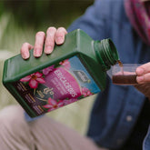 Ericaceous High Performance Liquid Plant Food 1L