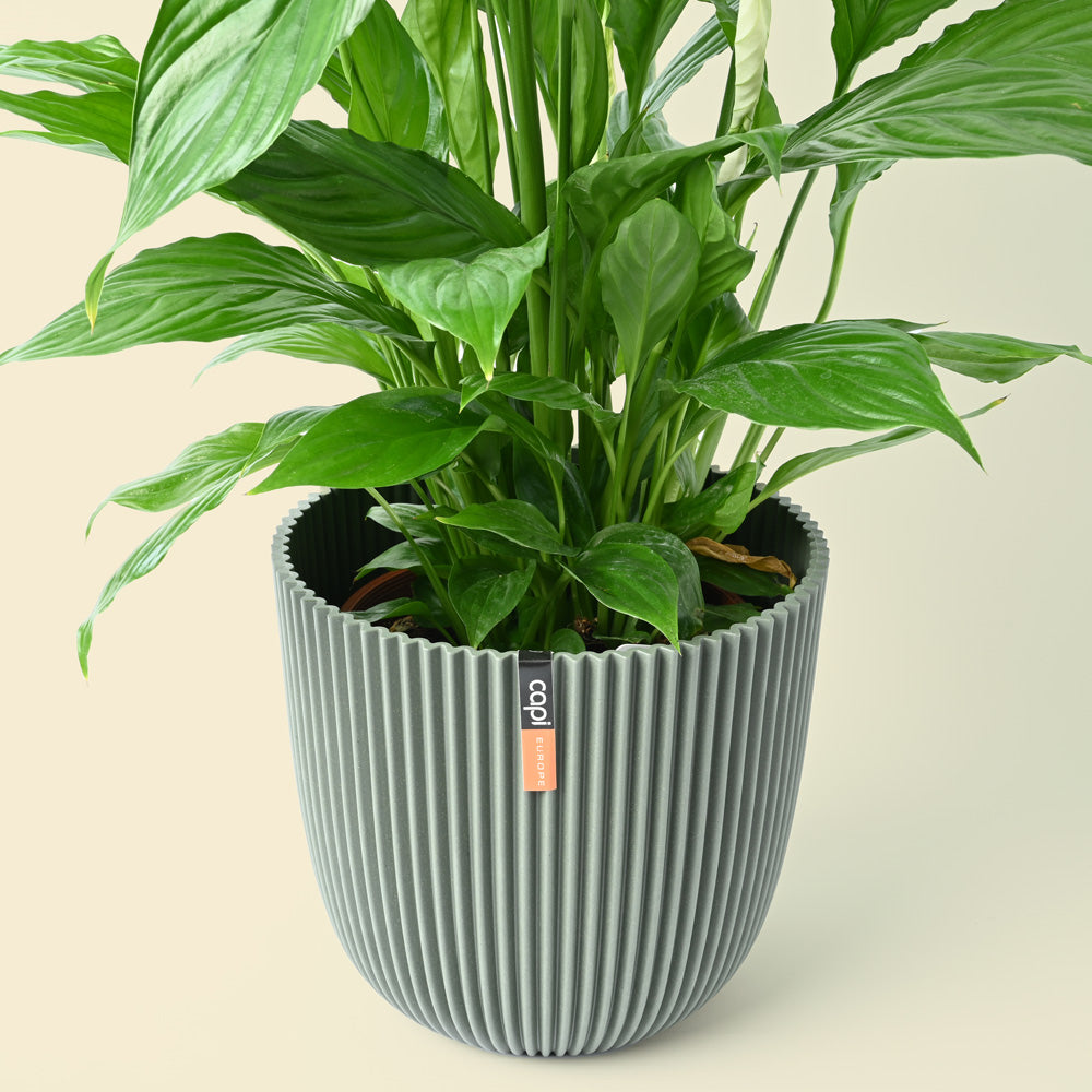 Capi Groove Grass Green Plant Pot 21.5cm