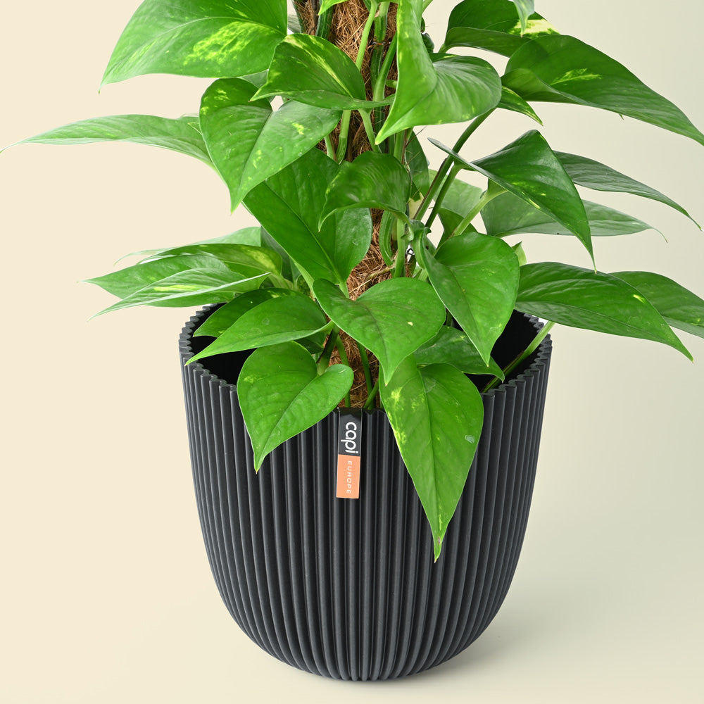Capi Groove Textile Black Pot 15cm