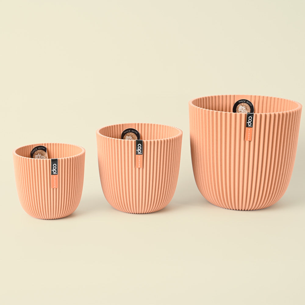 Capi Groove Peach | Rice Husk Pot | 21.5cm