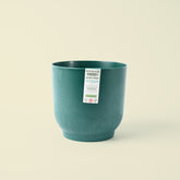 Glastonbury Ecomade Green | 14cm