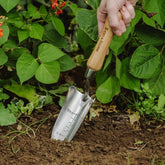 Kent & Stowe Hand Transplanting Trowel Stainless Steel