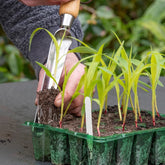 Kent & Stowe Hand Widger Stainless Steel