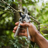 Kent & Stowe SureCut Lite Hard Wood Anvil Secateurs