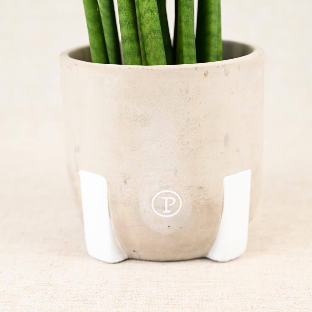 Jade 3 Grey 12cm