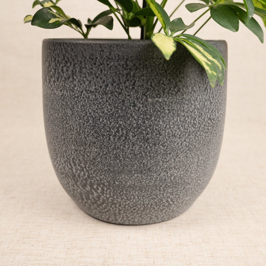 Selene Anthracite 17cm