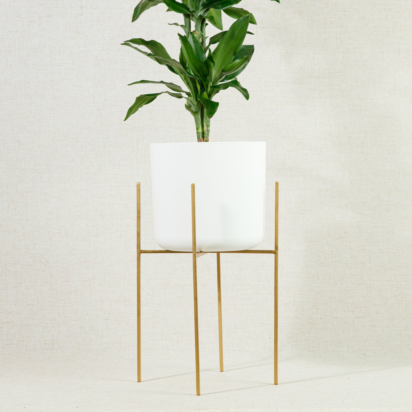 Luso Plant Stand Gold 38cm