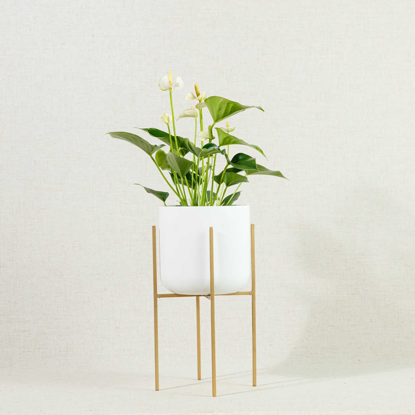Luso Plant Stand Gold 33cm