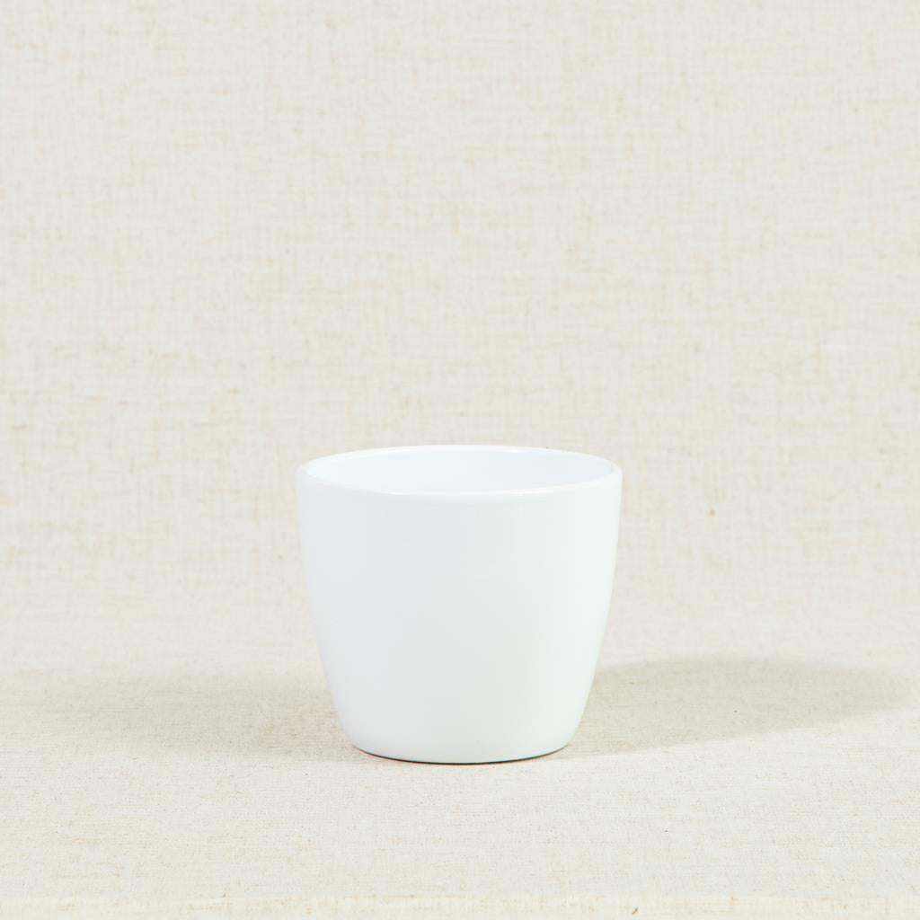 909 Series White Planter 12cm