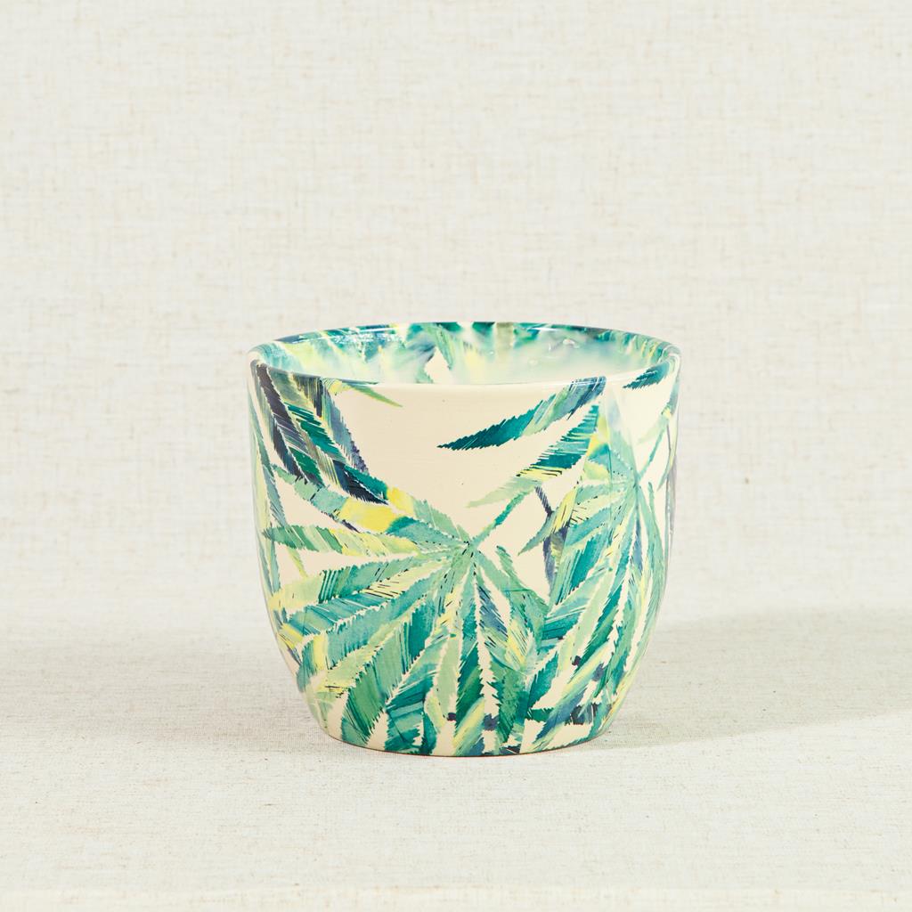 Monza Botanical Fern Planter 16cm