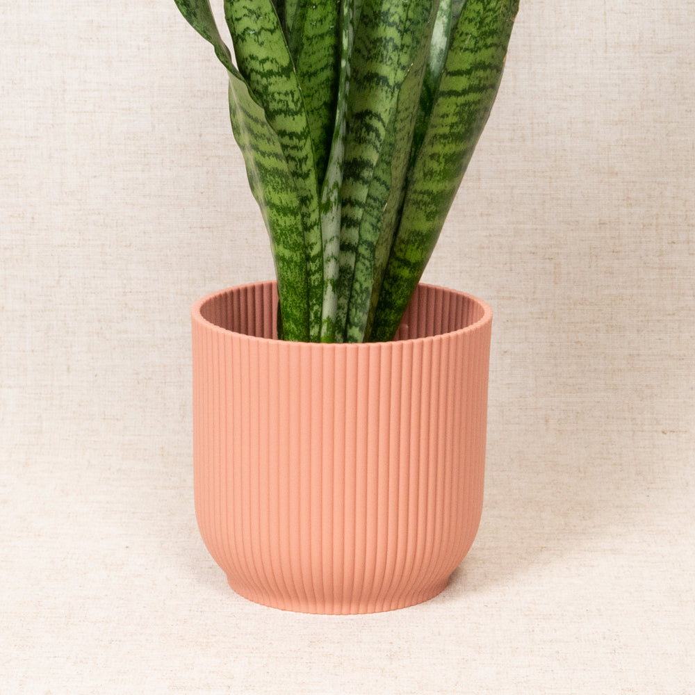 Vibes Fold Round Pink 14cm