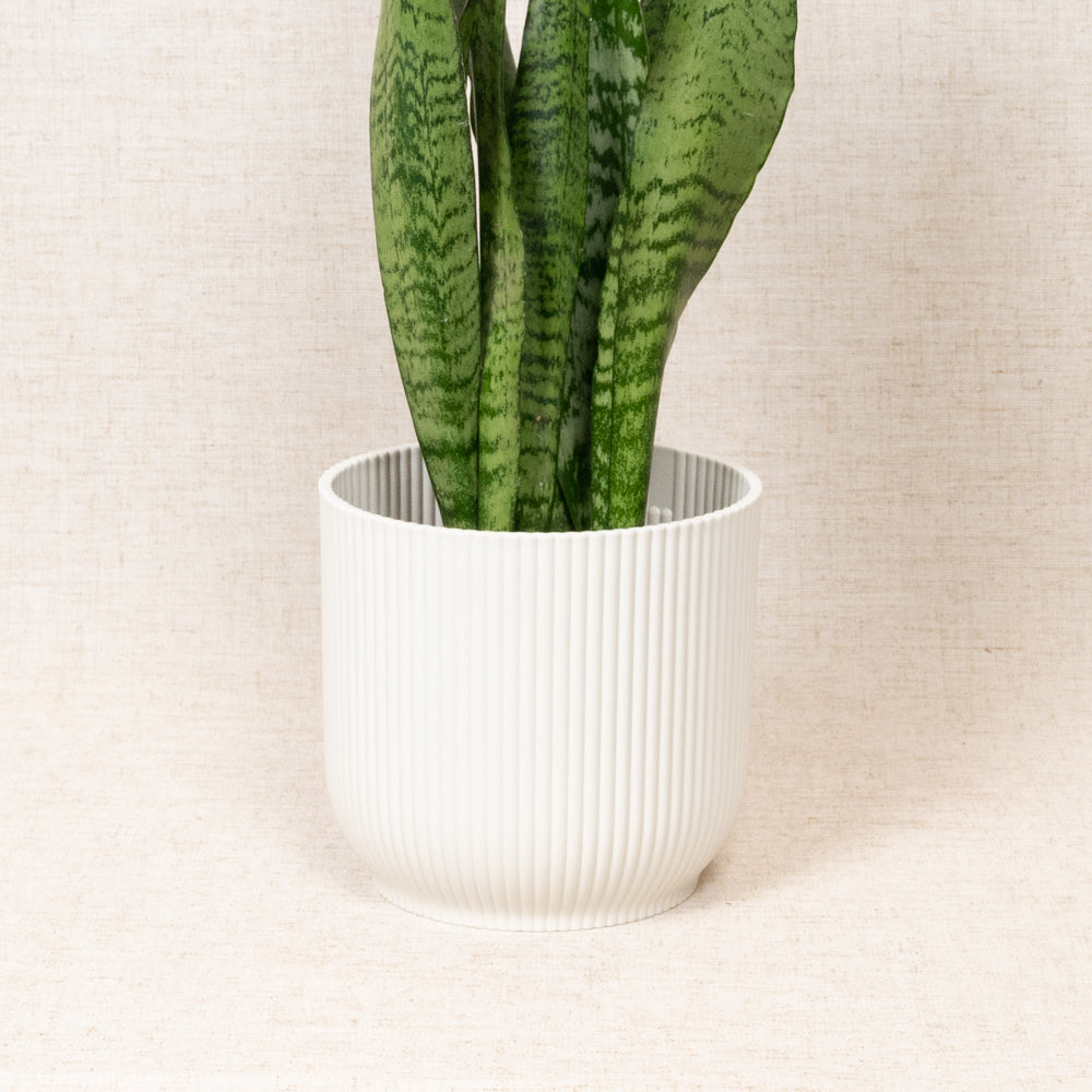 Vibes Fold Round White 14cm