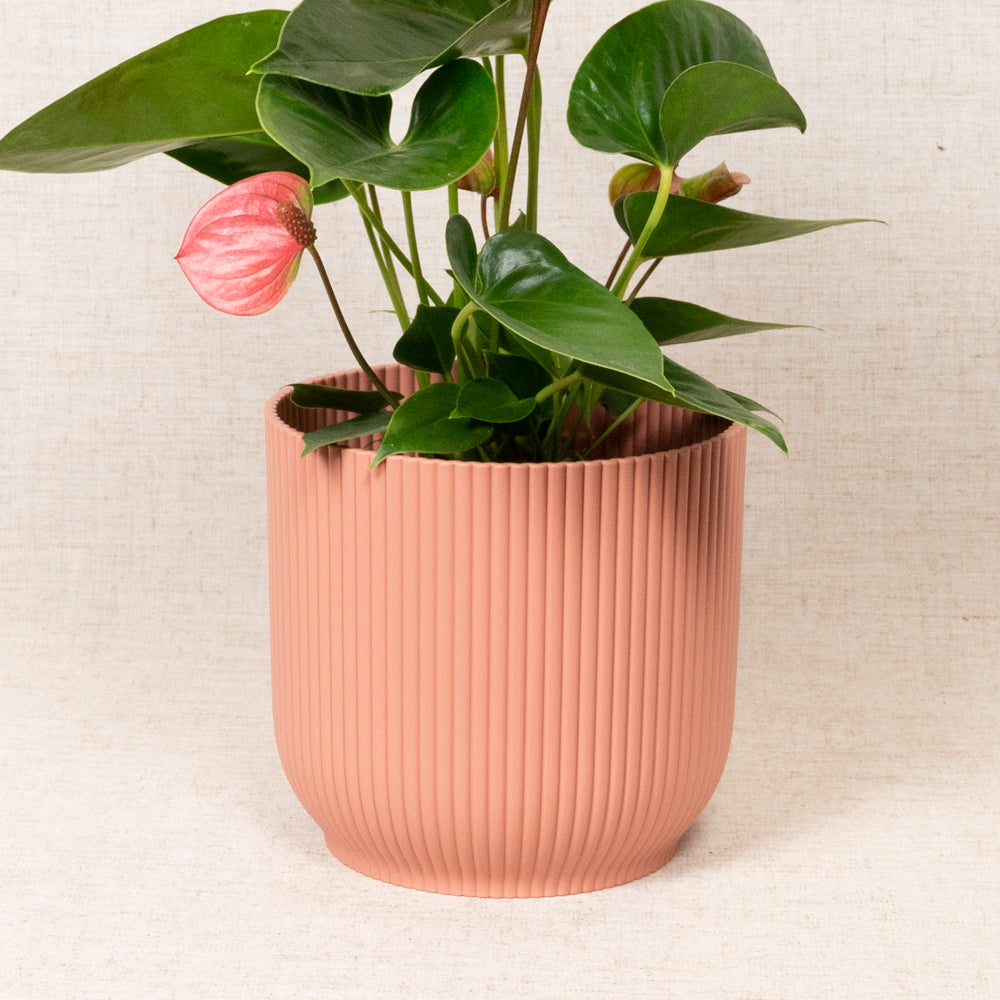 Vibes Fold Round Pink 16cm