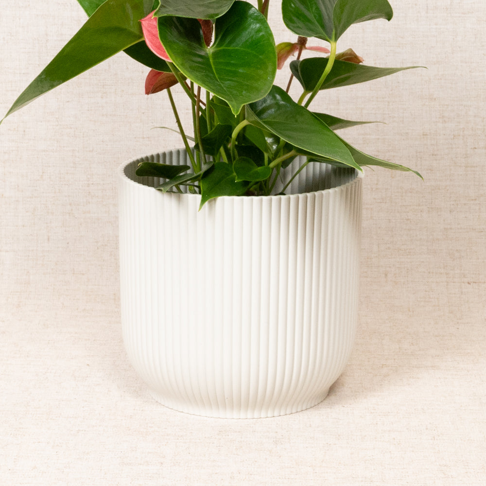 Vibes Fold Round White 16cm