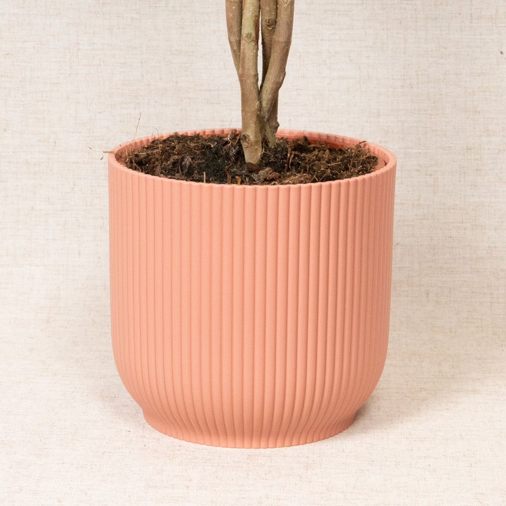 Vibes Fold Round Pink 18cm