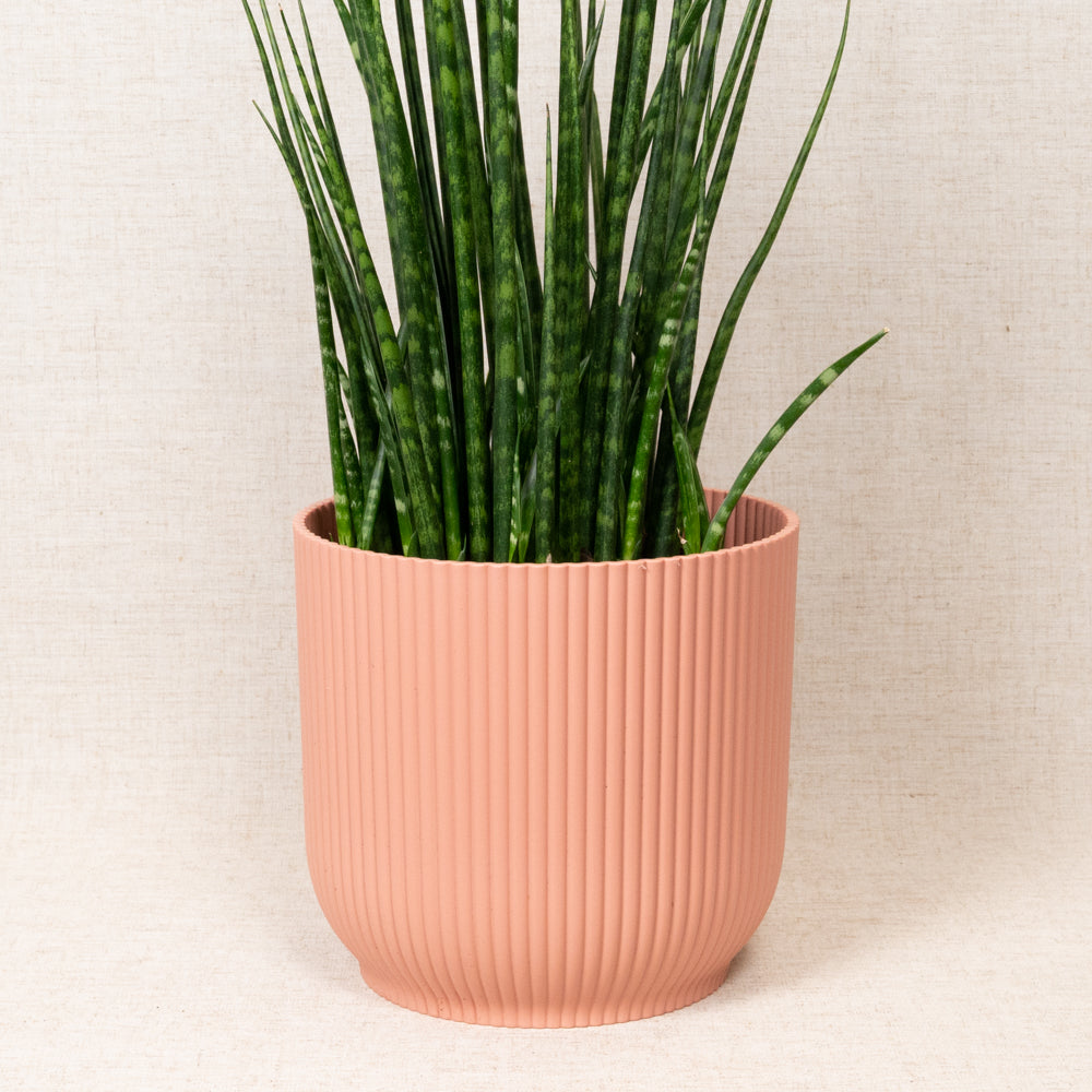 Vibes Fold Round Pink 22cm