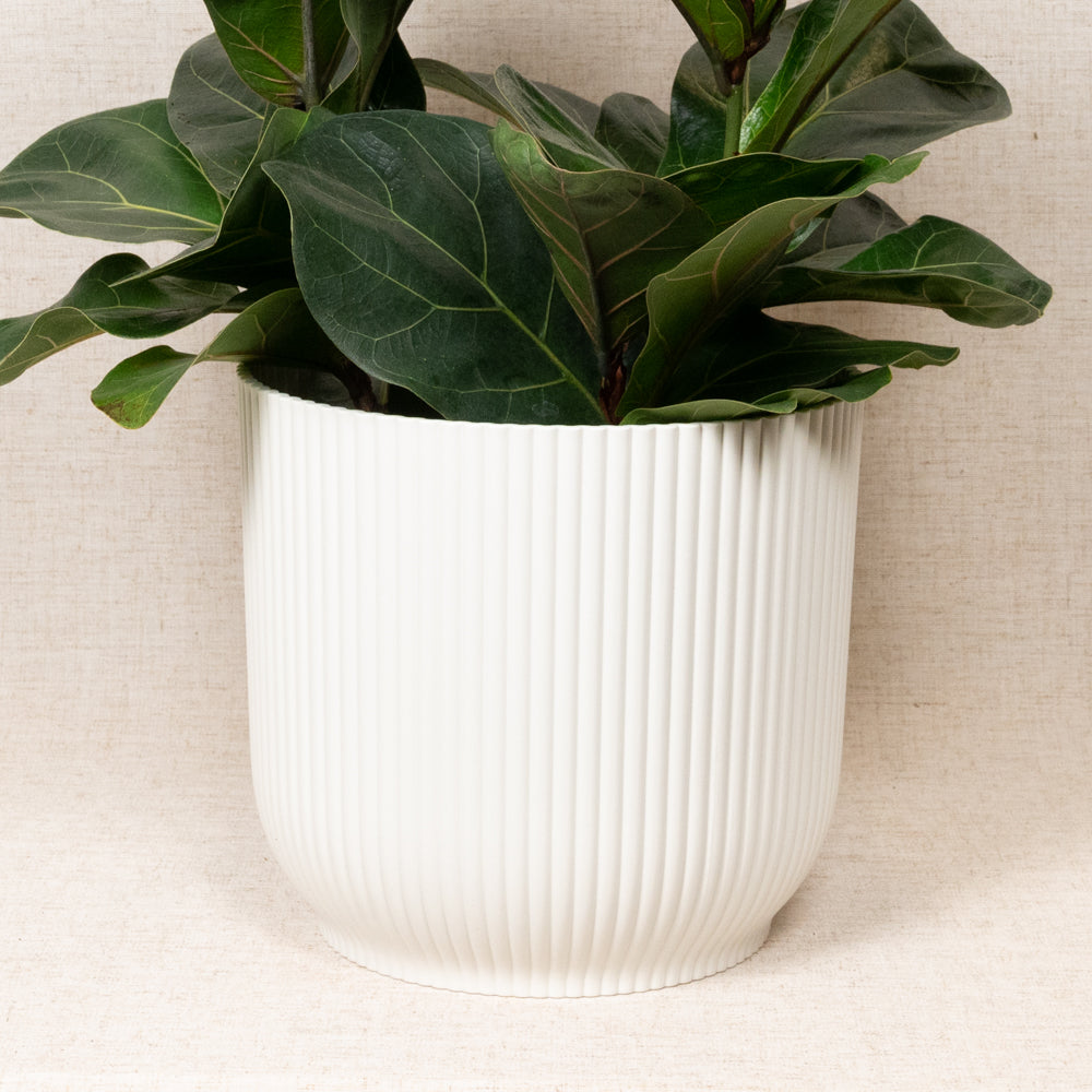 Vibes Fold Round White 22cm