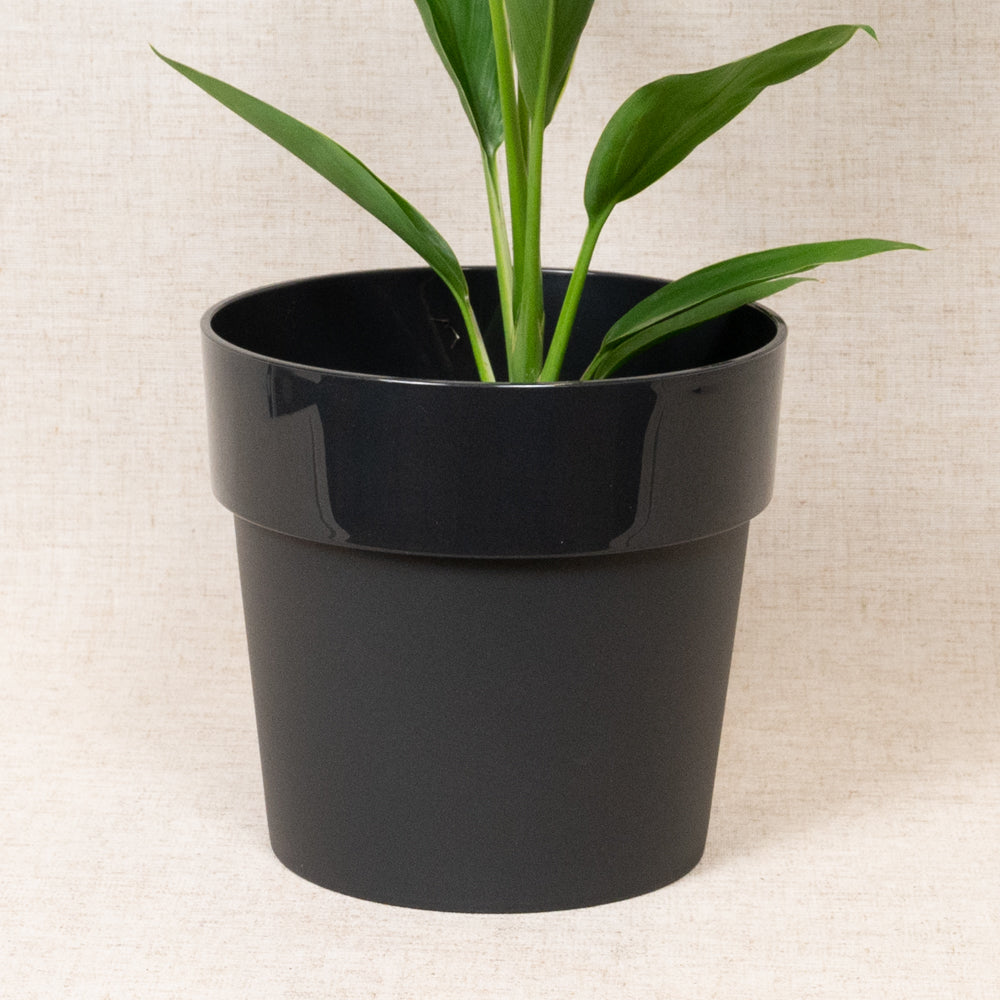 B.For Original Round Black 18cm