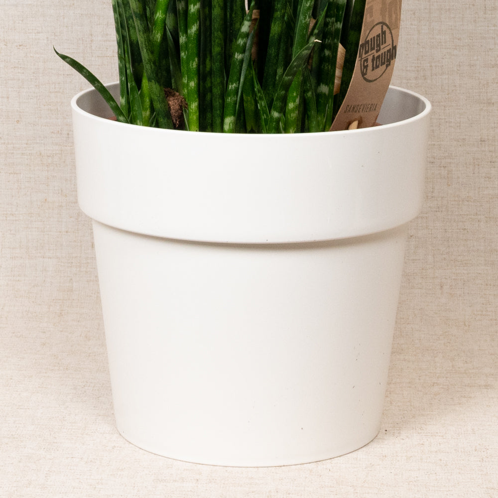 B.For Original Round White 22cm
