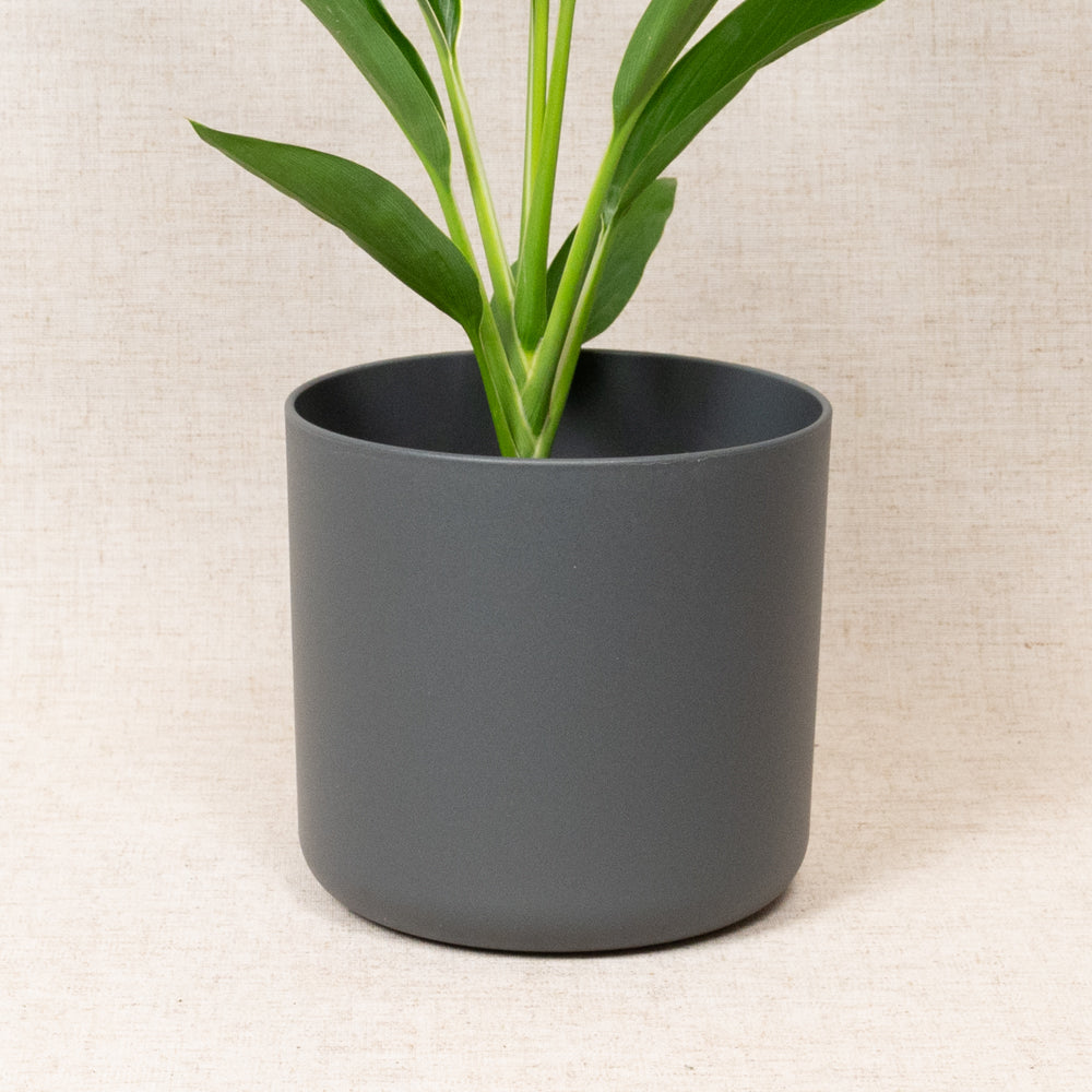 B.For Soft Round Grey 16cm