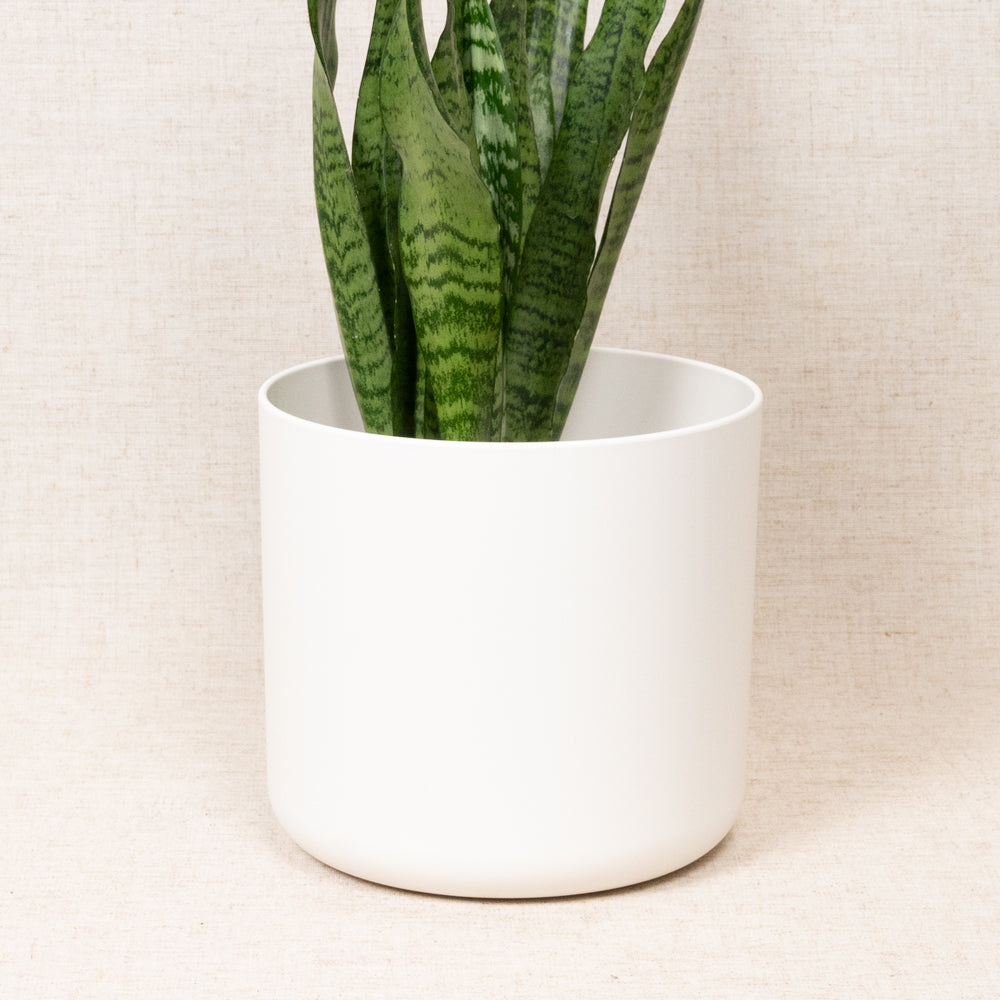 B.For Soft Round White 18cm