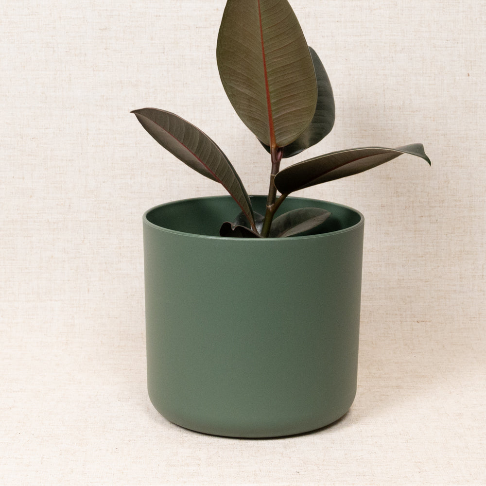 B.For Soft Round Green 18cm