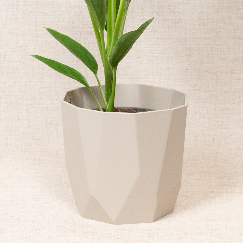 B.For Rock Grey 14cm