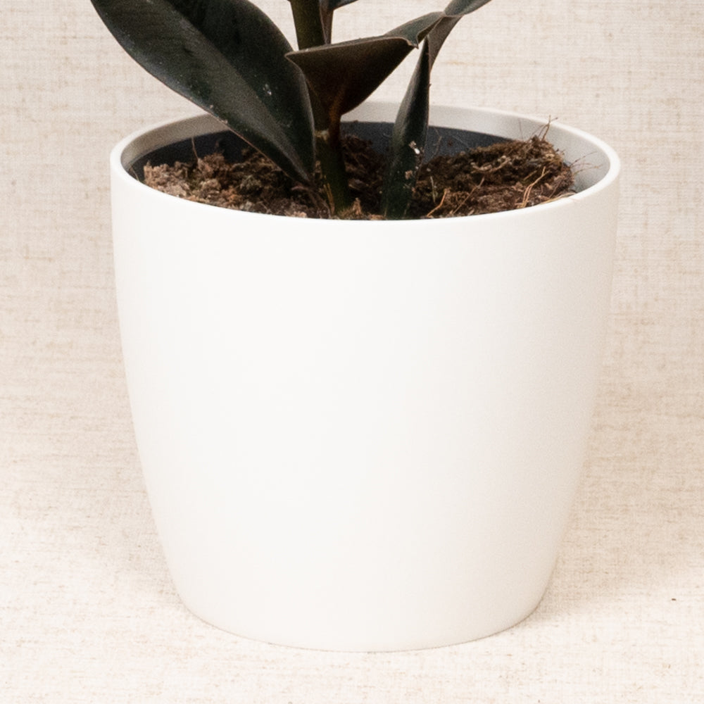 Brussels Round Mini White 12,5cm
