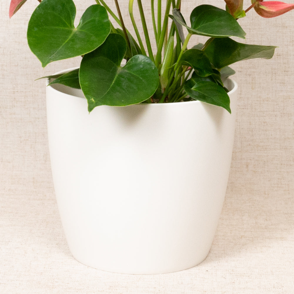 Brussels Round White 16cm