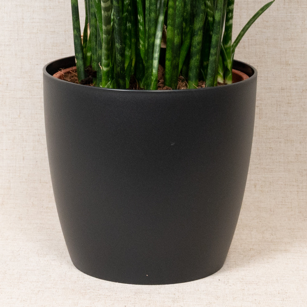 Brussels Round Black 20cm