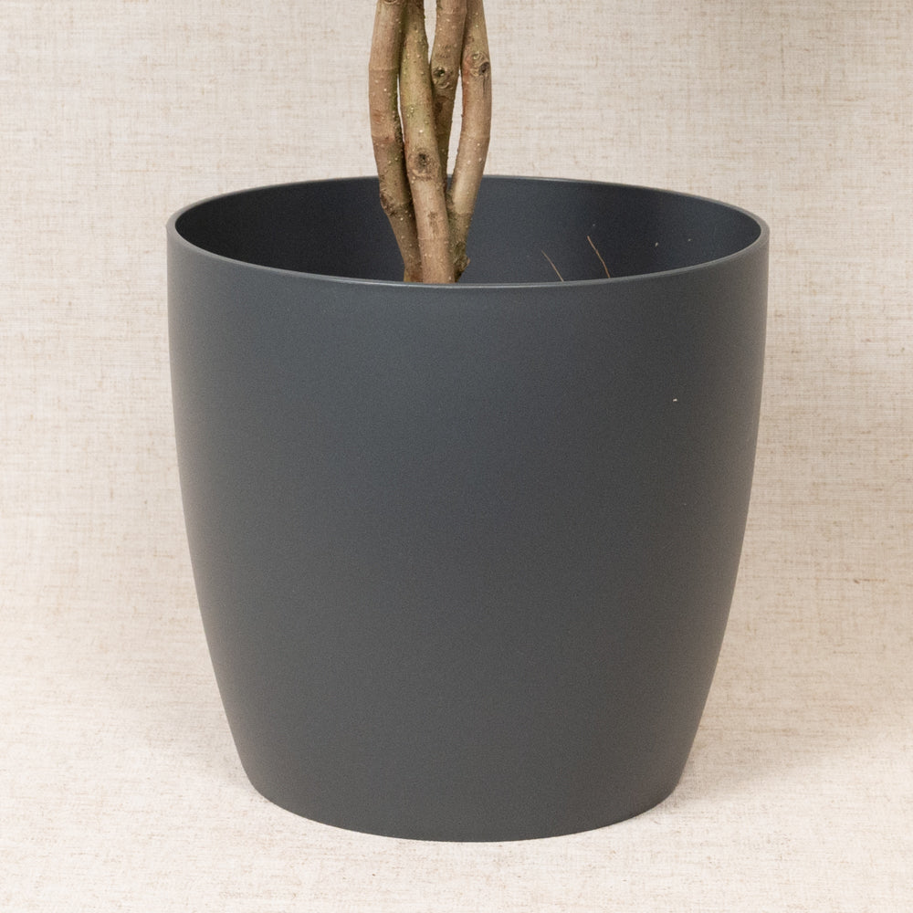 Brussels Round Grey 22cm