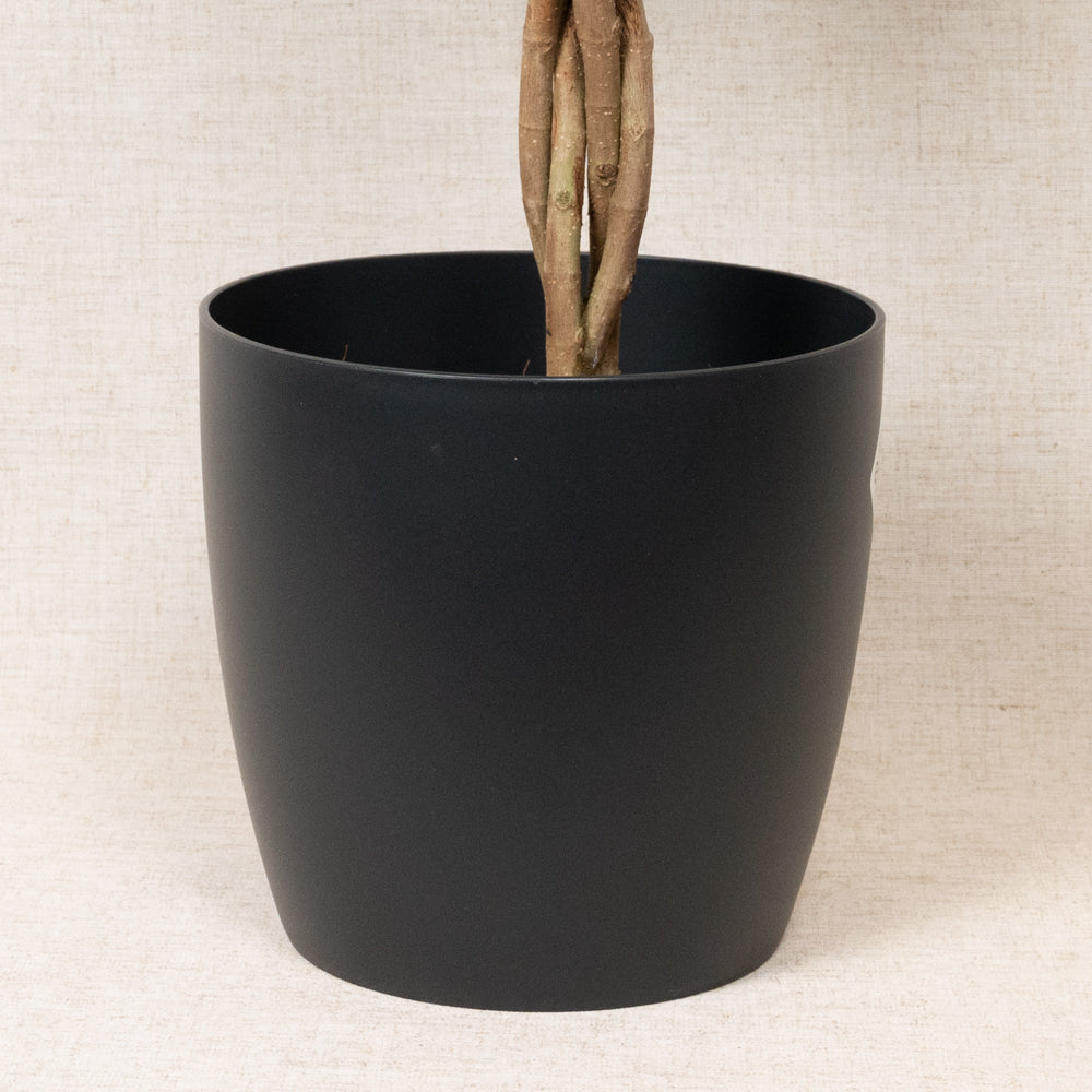 Brussels Round Black 22cm