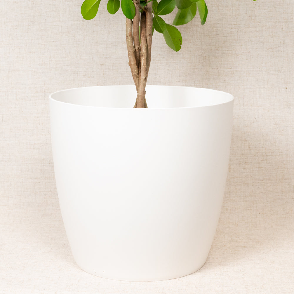 Brussels Round White 30cm