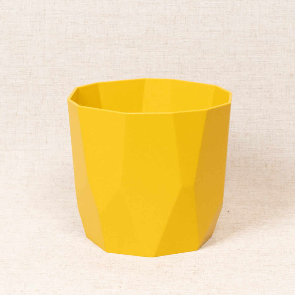 B.For Rock Mustard 16cm