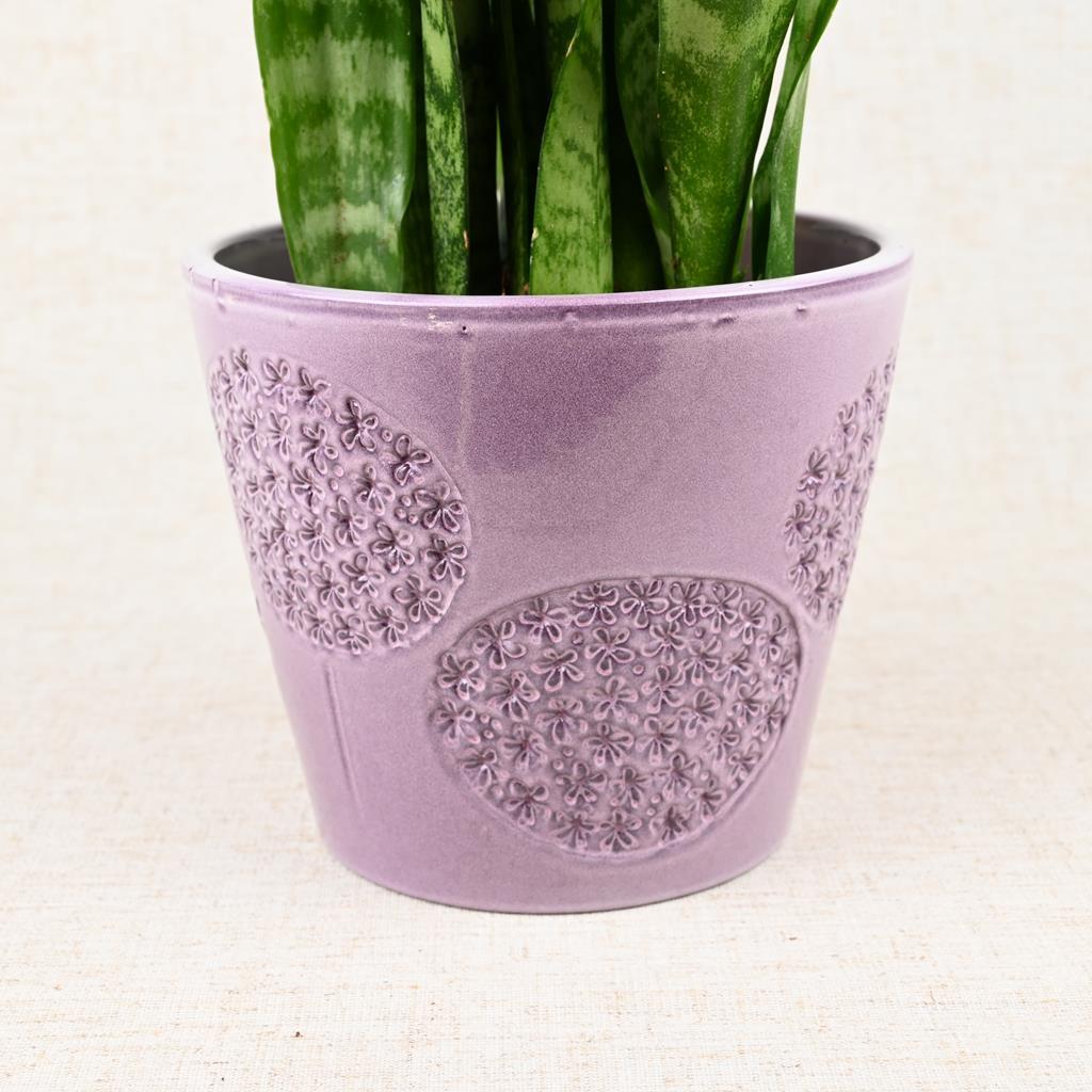 Mulberry Planter 14cm