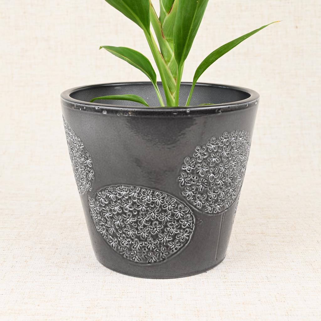 Glass Grey 14cm