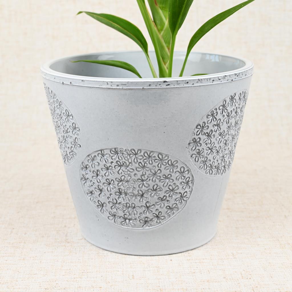 Moon White 14cm