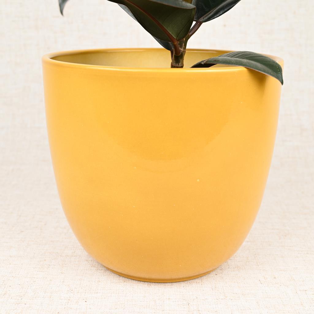 Sienna Planter Mustard 11cm