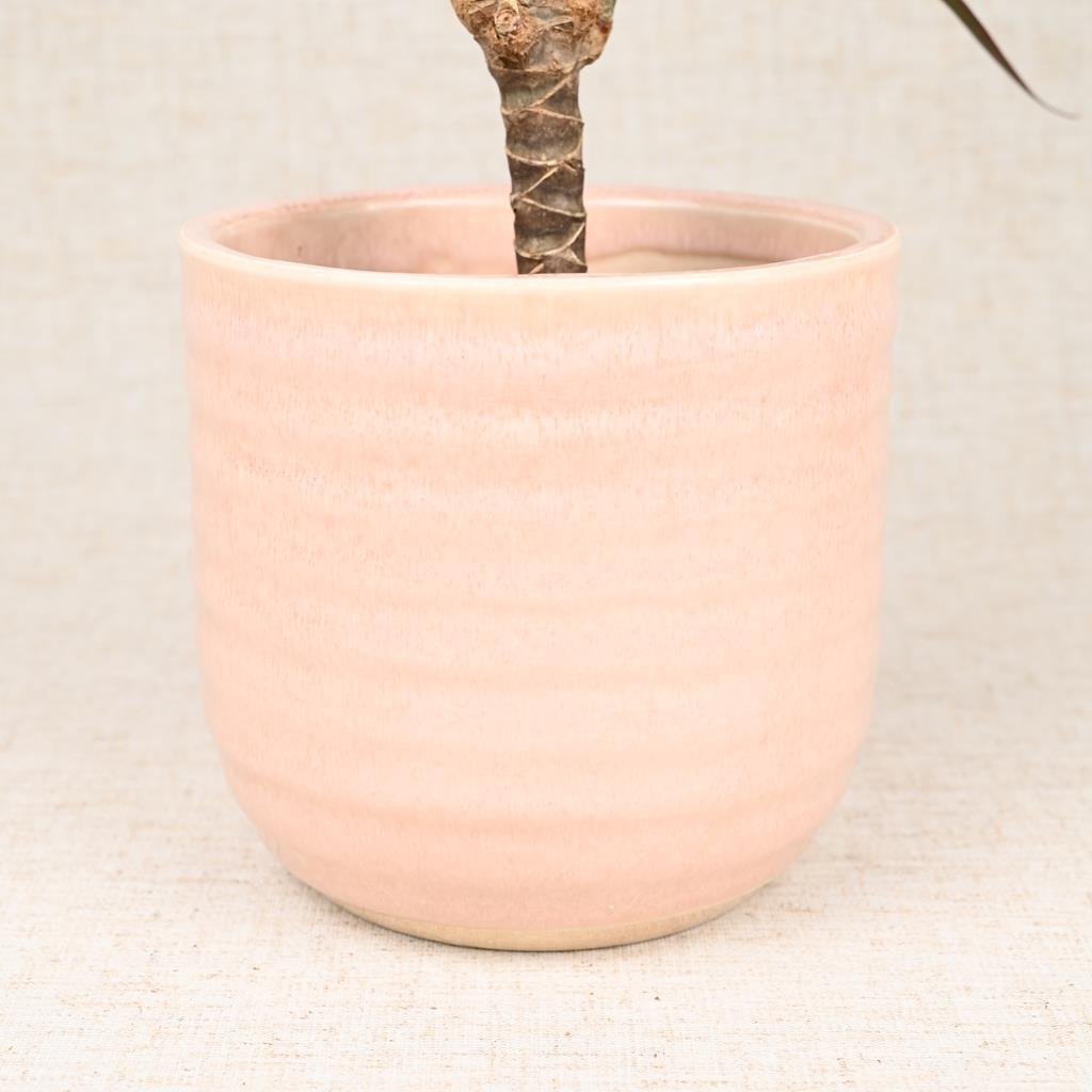 Reactive Glaze Pink Planter 12cm