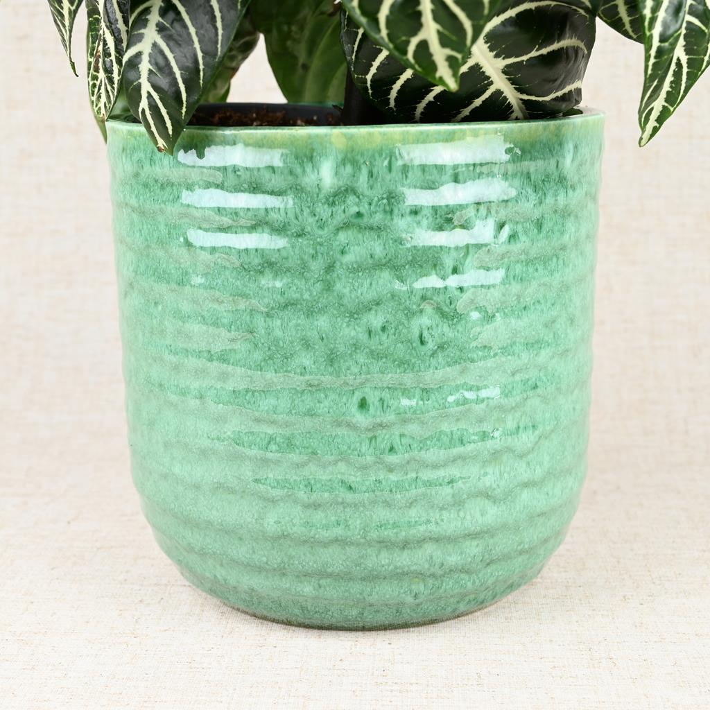 Reactive Glaze Green Planter 17cm