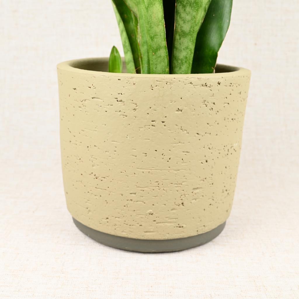 Neria Planter Green 16cm