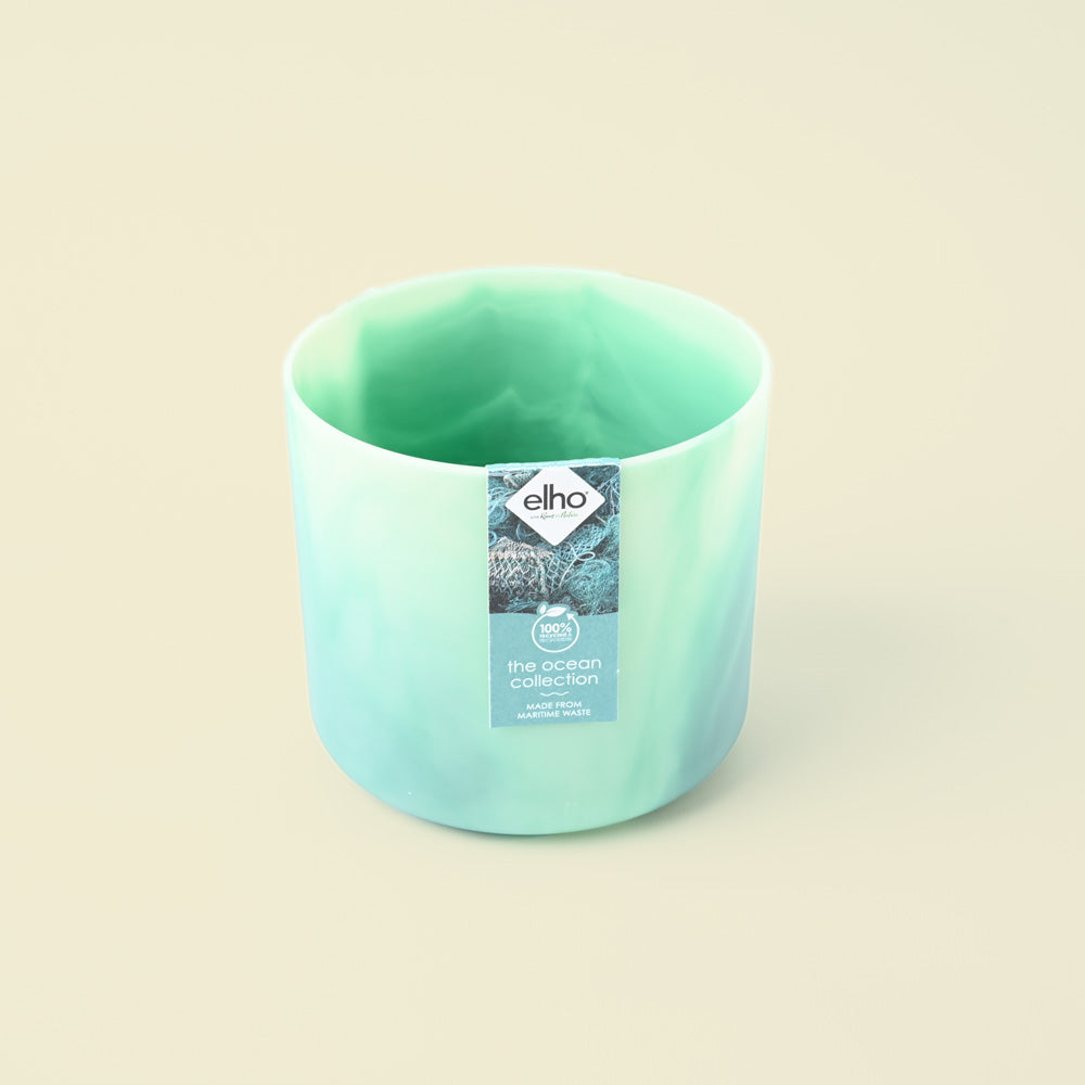 The Ocean Collection Pacific Green 14cm