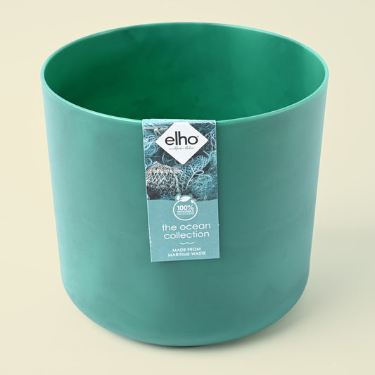 The Ocean Collection Pacific Green 22cm
