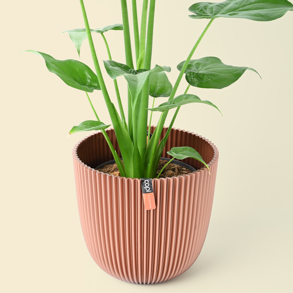 Capi Fold Plant Pot Metallic Bronze 21.5cm